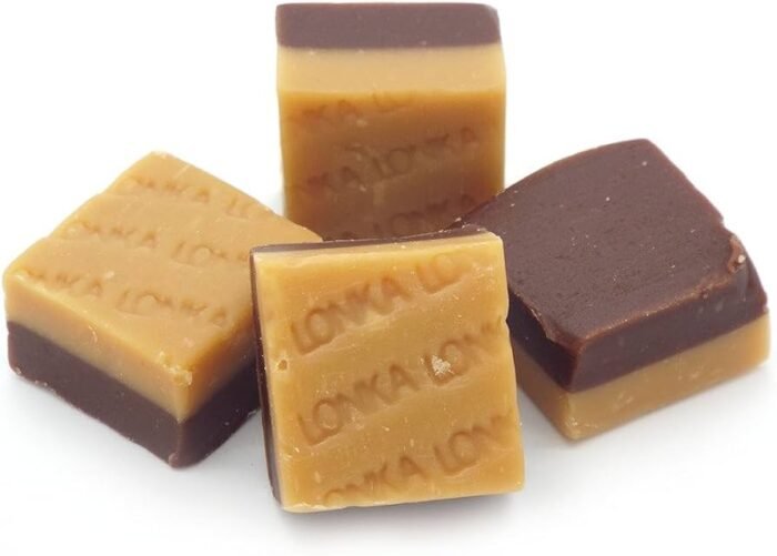 LONKA FUDGE DUO VAINILLA-CHOCOLATE TARRO 2KG SIN GLUTEN - Imagen 3